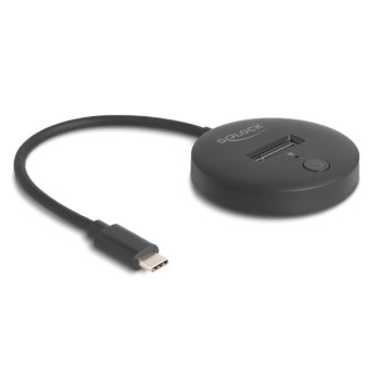 DELOCK docking station για...